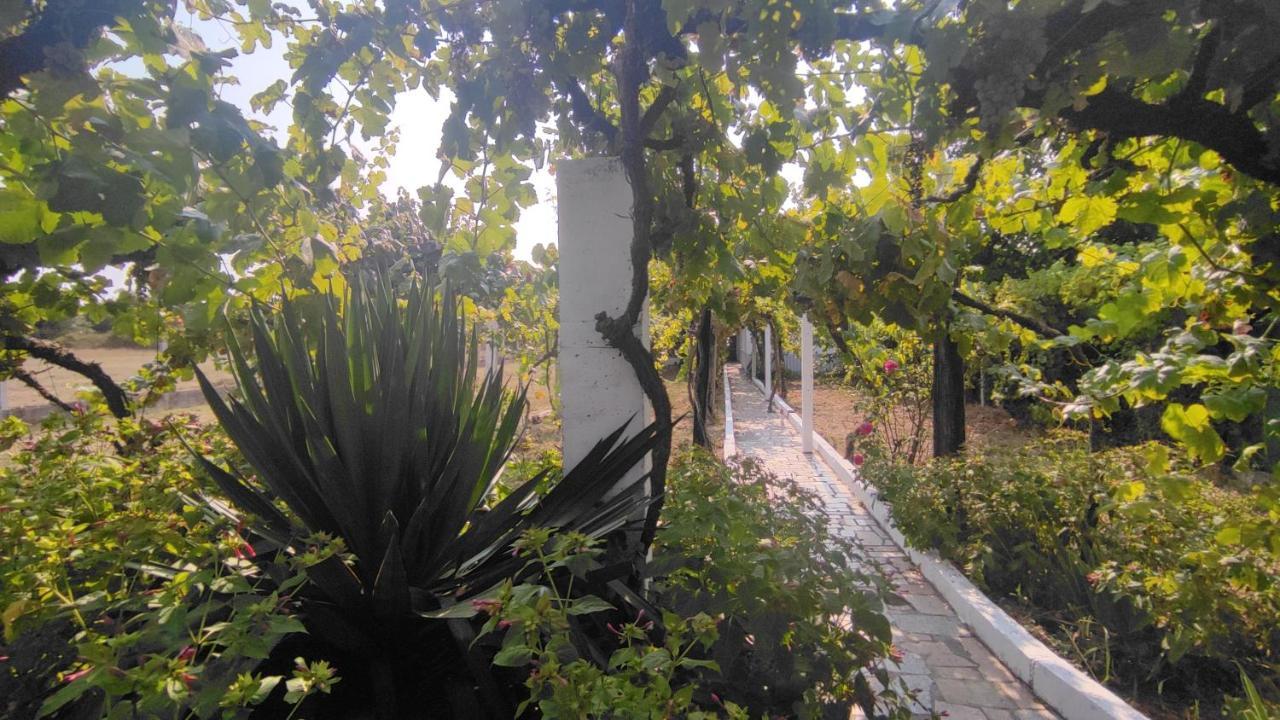 Morin Grey Casa En El Corazon De La Ribeira Sacra Villa Monforte De Lemos Exteriör bild